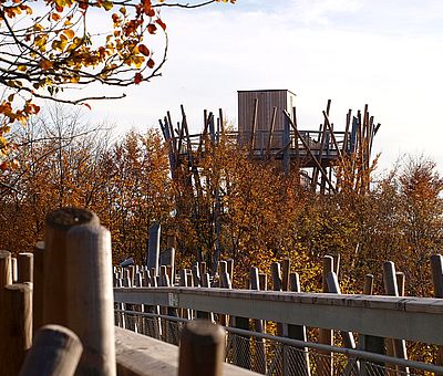 Der Baumwipfelpfad in Bad Iburg schärft die Sinne für die Besonderheiten des Lebensraumes Wald und für die erdgeschichtlichen Zusammenhänge. Er verhilft aber auch zu bezaubernden Ausblicken und inspirierenden Überblicken, denn über die Kronen hinweg fällt der Blick auf Schloss Iburg, auf die umliegenden Parkanlagen und auf die tiefgrünen Höhen des Teutoburger Waldes.