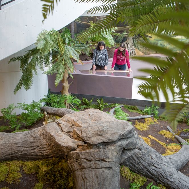 [Translate to Nederlands:] Museum am Schölerberg entdecken