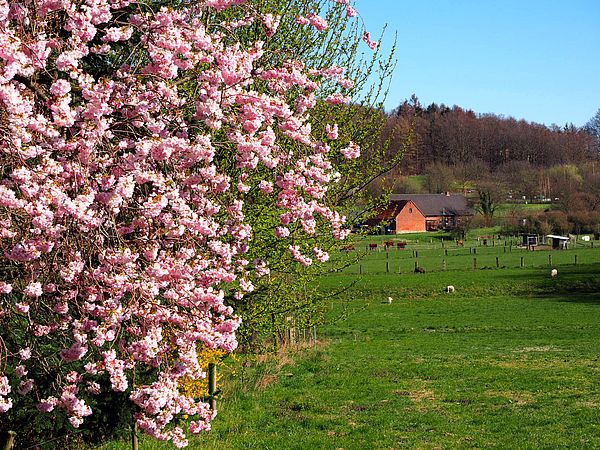 Düte-Tour fietsroute rond Osnabrück