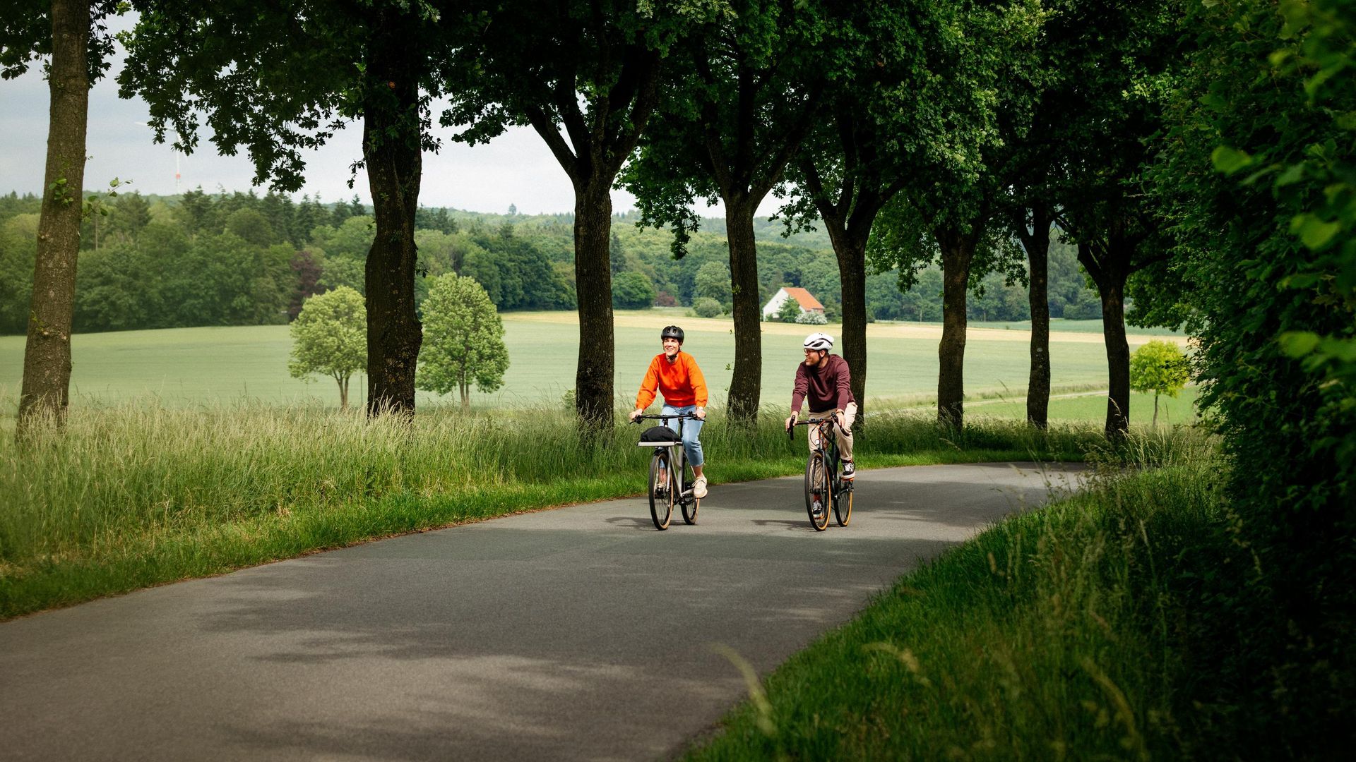 Twee fietsers rijden over een laan door een groen landschap met bomen.