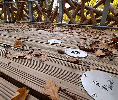 Baumwipfelpfad in Bad Iburg im Osnabrücker Land