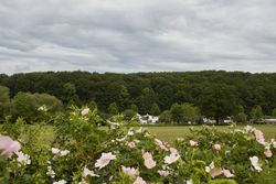 Motorhome_parking_05-2024_Photo-Herzmann_094.jpg