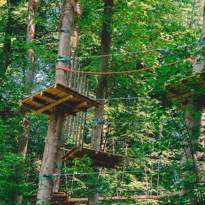 [Translate to Nederlands:] Kletterwald in Bad Iburg entdecken