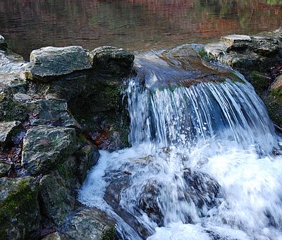 Die Kalksinterterrassen im Teutoburger Wald sind einmalig in Niedersachsen.