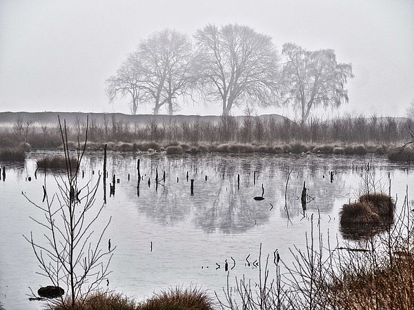 Winterwanderung auf dem TERRA.track Venner Moorpfad Auch im Winter lädt die herrliche und abwechslungsreiche Natur im Osnabrücker Land – mitten im Natur- und Geopark TERRA.vita gelegen – ein zu Spaziergängen und Winterwanderungen. Auf dem sieben Kilometer langen Wanderweg TERRA.track Venner Moorpfad erleben Sie die wechselvolle Geschichte des Venner Moores.
