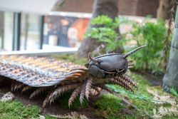 Sculptuur van een prehistorisch dier met twee antennes en een gesegmenteerd lichaam in het Museum am Schölerberg.