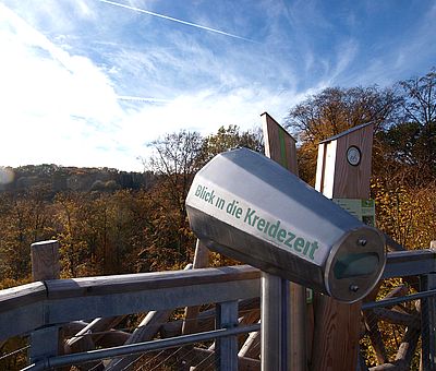 Der Baumwipfelpfad in Bad Iburg im Osnabrücker Land schärft die Sinne für die Besonderheiten des Lebensraumes Wald und für die erdgeschichtlichen Zusammenhänge.