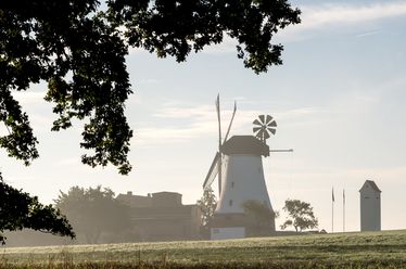 Windmolen in een weids landschap, geflankeerd door bomen en lichte ochtendnevel.