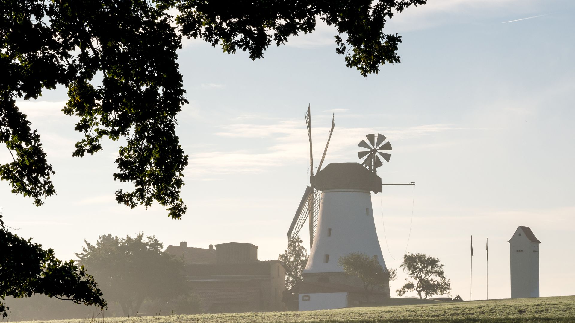 Windmolen in een weids landschap, geflankeerd door bomen en lichte ochtendnevel.