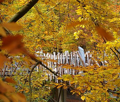 Die lebendige Natur erleben, spüren und verstehen wie auf dem Baumwipfelpfad in Bad Iburg – im Natur- und UNESCO Geopark TERRA.vita werden Erdgeschichte und Natur auf unterhaltsame Art und Weise vermittelt.