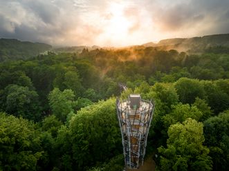 Aussichtsturm in grüner Waldlandschaft, umgeben von Morgennebel und Sonnenaufgang im Hintergrund.