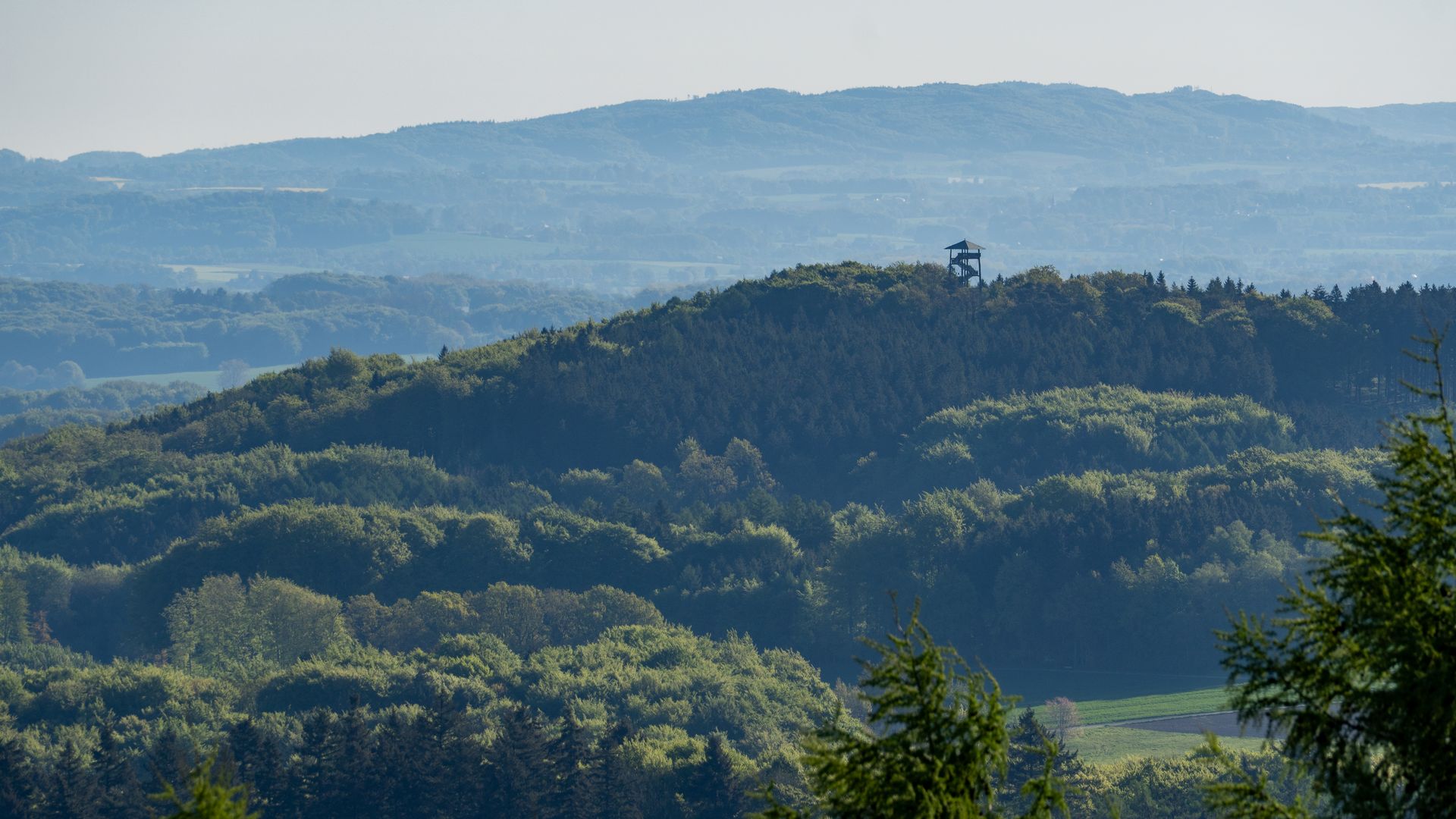 Dissen am Teutoburger Wald