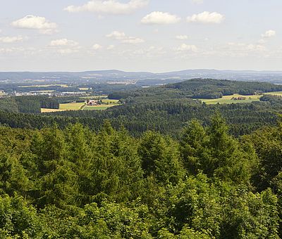 Ausblick vom Aussichtsturm Dissen am Teutoburger Wald