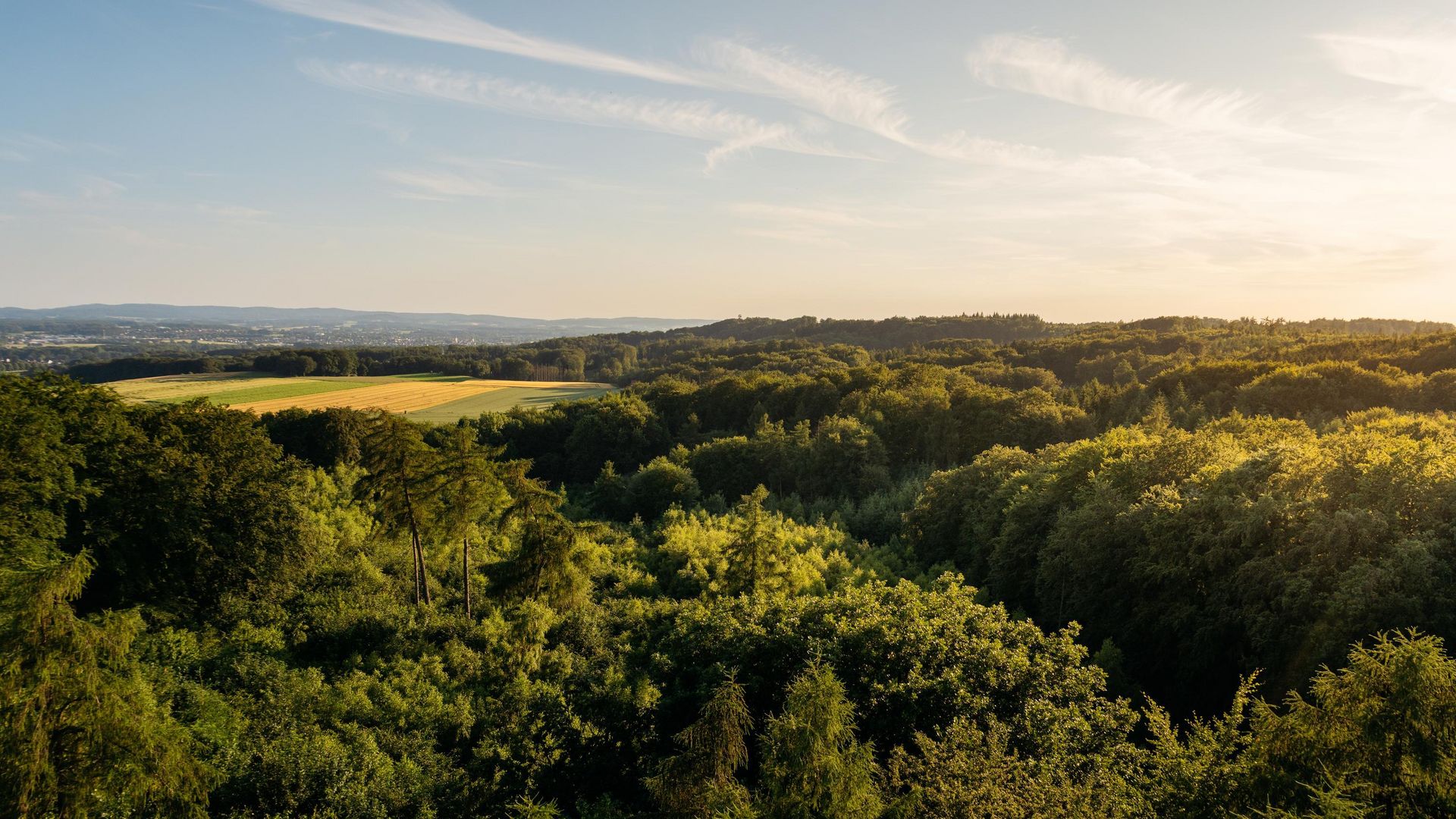 melle-copyright-tol-foto-christoph-steinweg (67).jpg